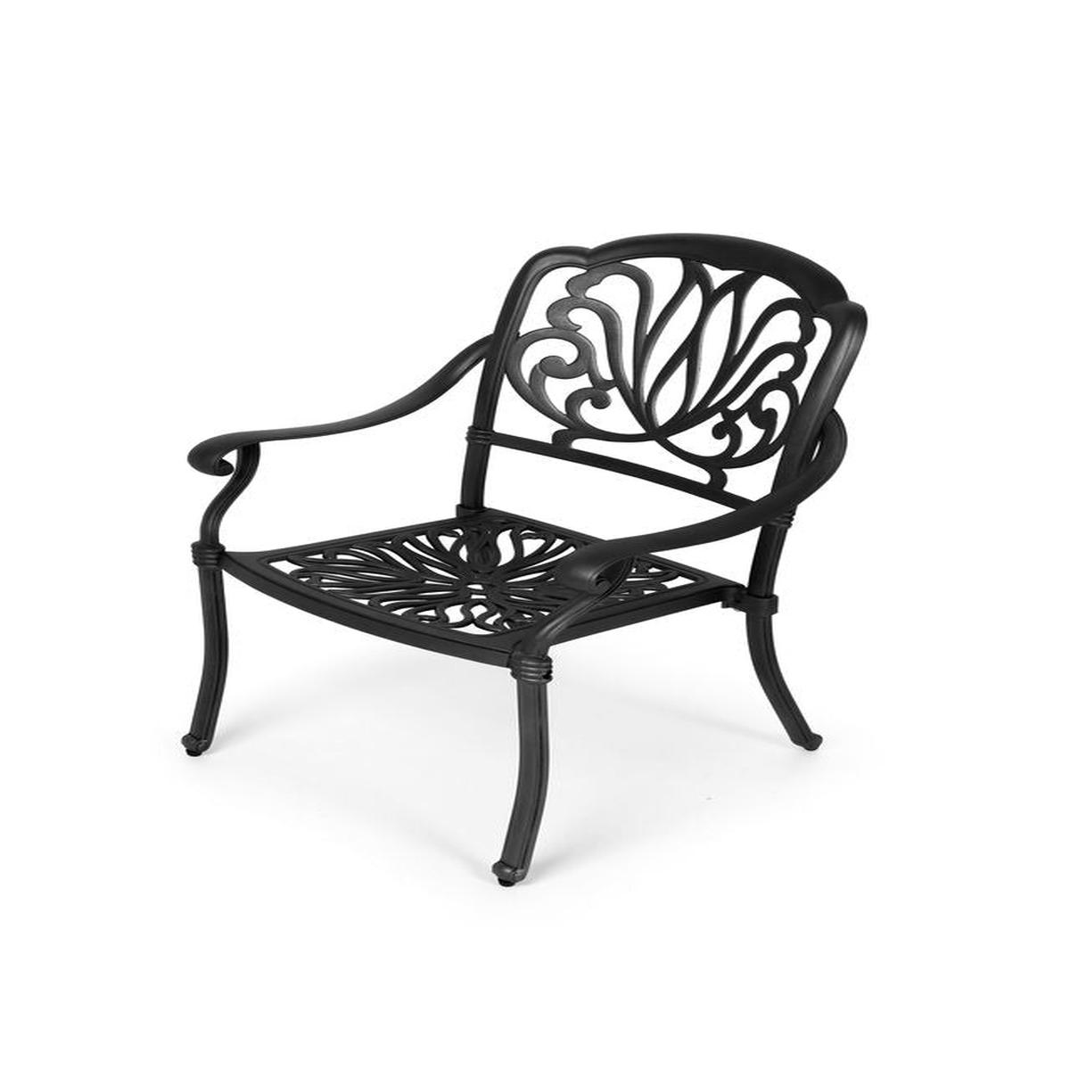 Anray Protea Aluminium Chair – Black