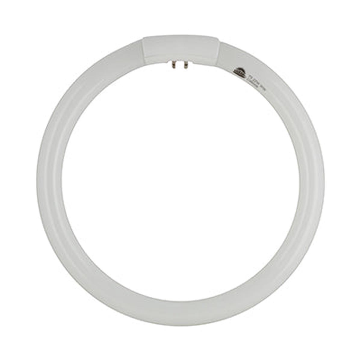 Radiant T5 Fluorescent Circline 22w G10q 4000K