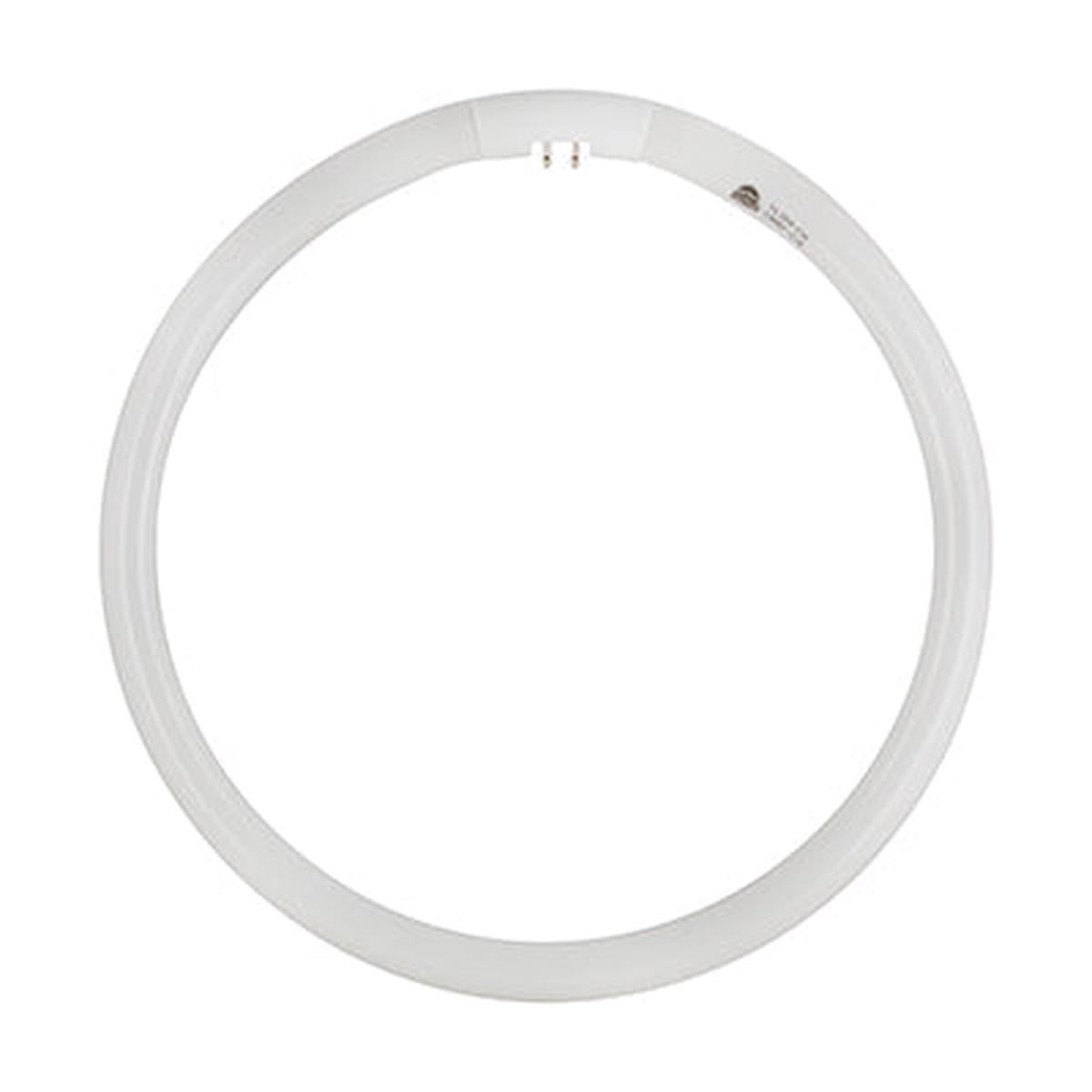 Radiant T5 Fluorescent Circline 32w G10q 4000K