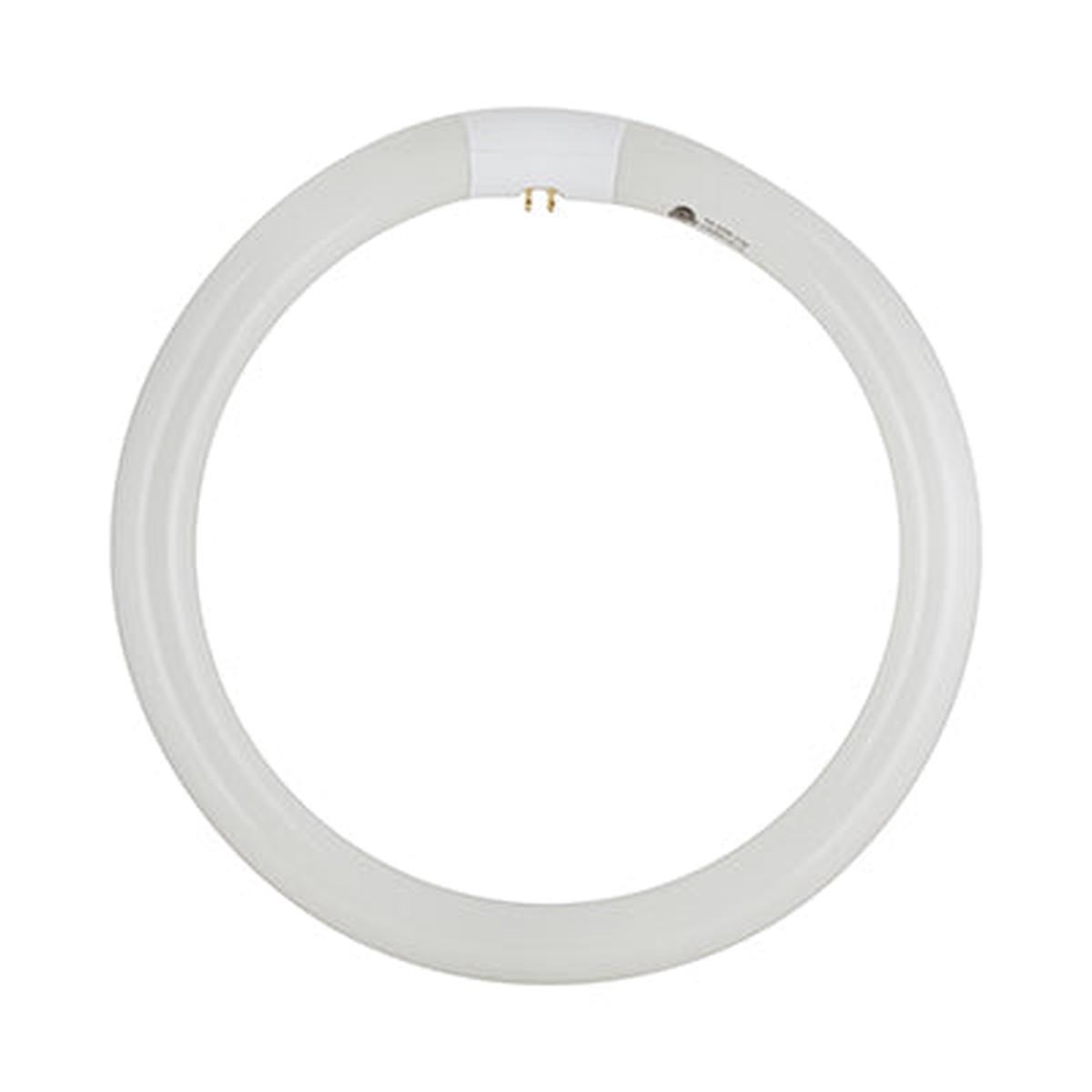 Radiant T9 Fluorescent Circline 32w G10q 4000K