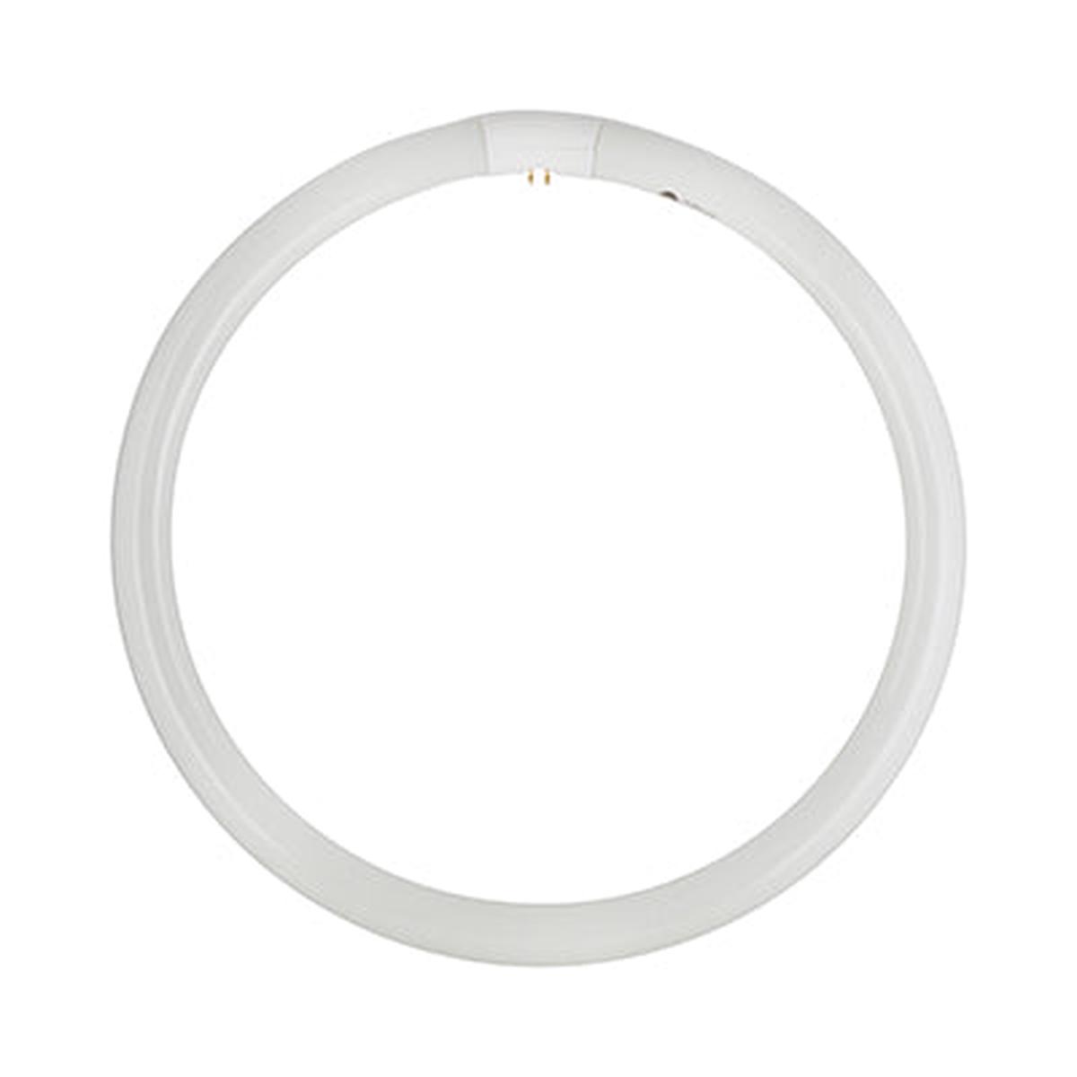 Radiant T9 Fluorescent Circline 40w G10q 4000K