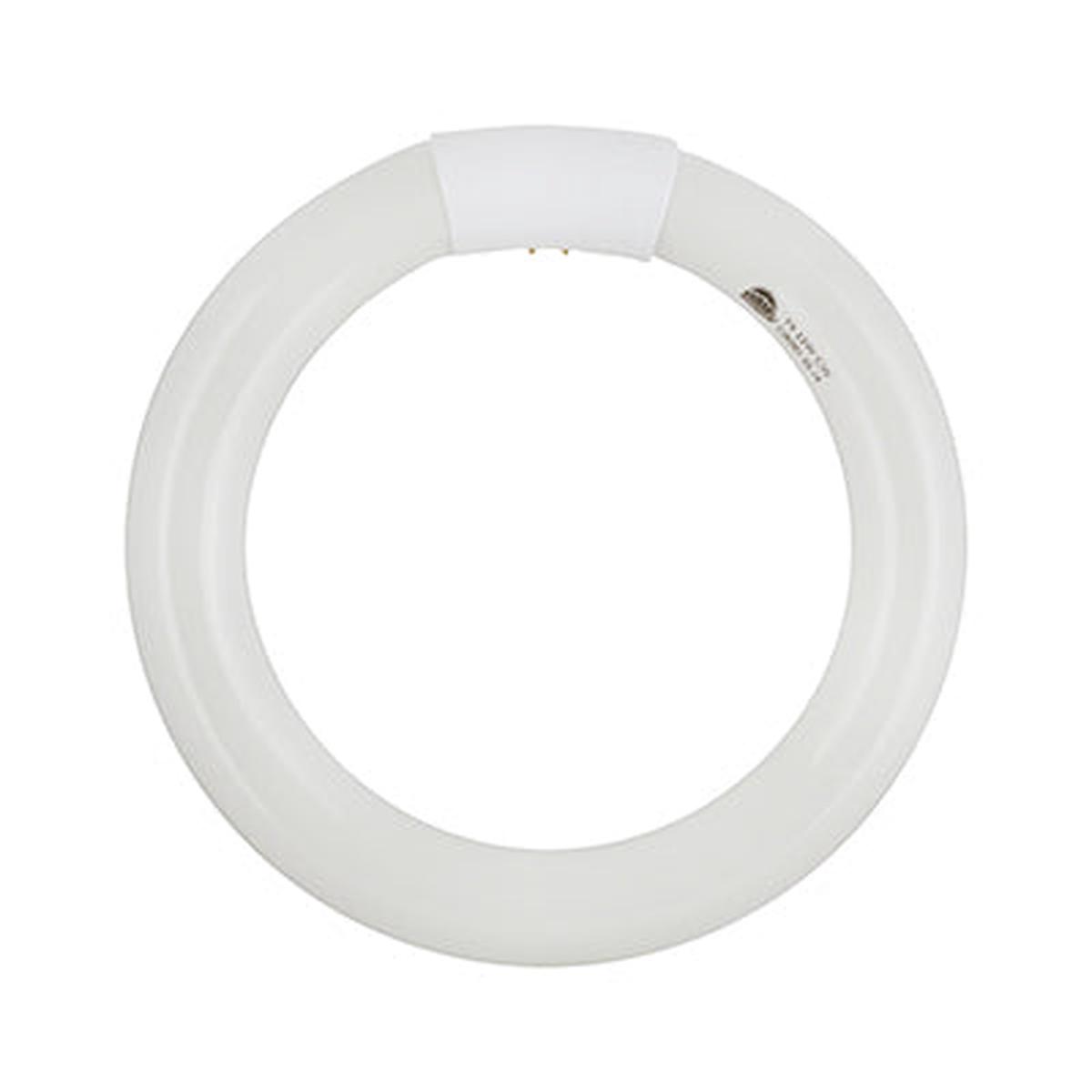 Radiant Fluorescent Circline T9 G10q 22w 4000K
